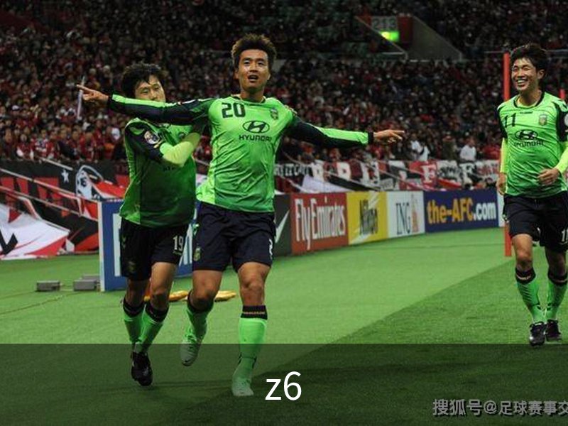 走进z6
